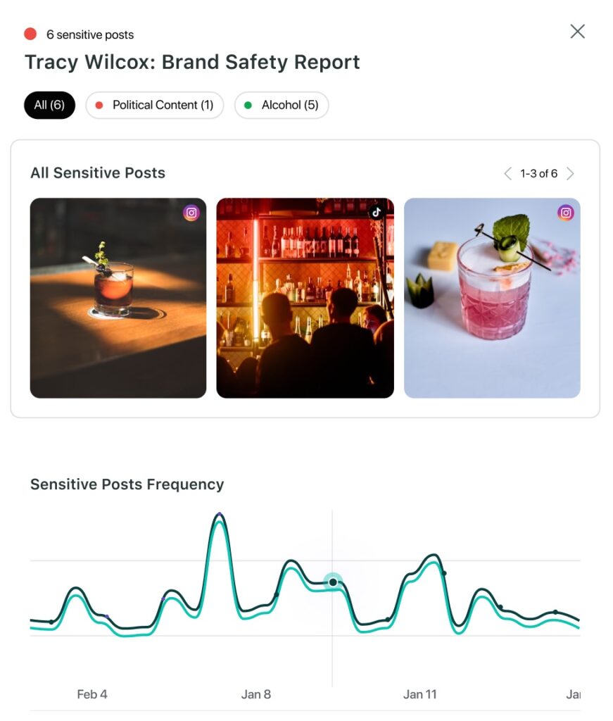 The Brand Safety report available in Sprout Social Influencer Marketing. 
